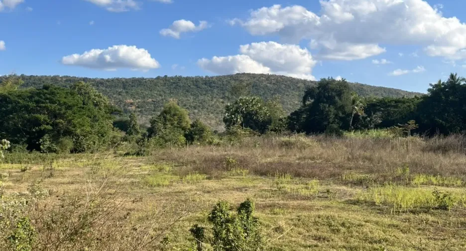 For sale land in Mueang Nongbua Lamphu, Nong Bua Lamphu