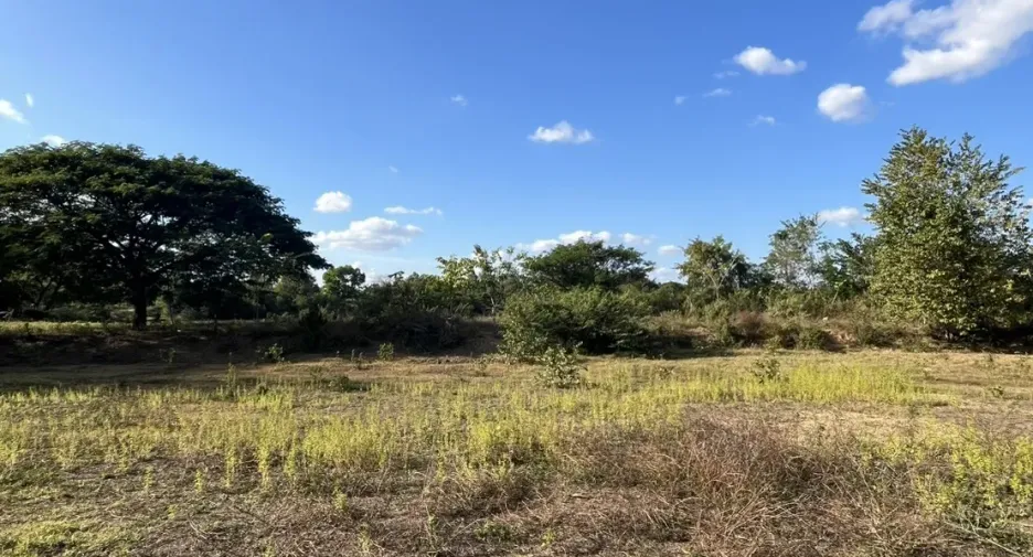 For sale land in Mueang Nongbua Lamphu, Nong Bua Lamphu