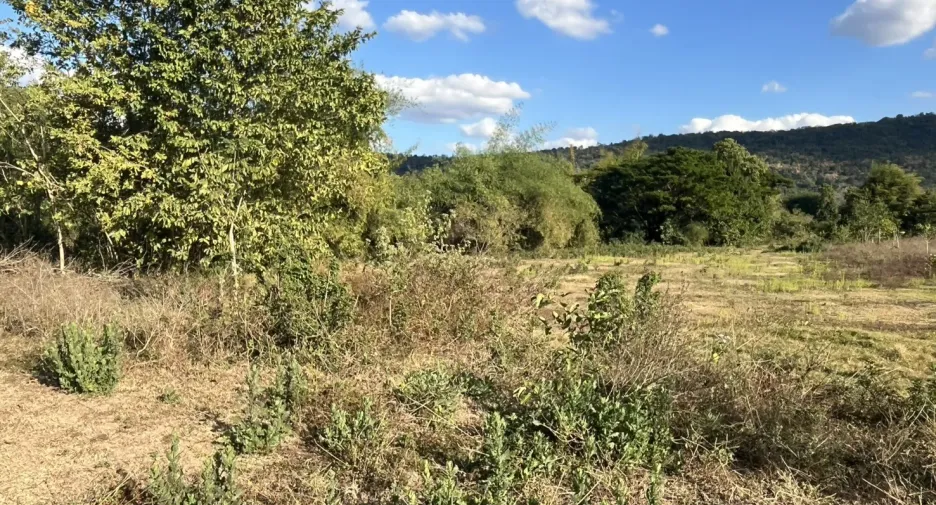 For sale land in Mueang Nongbua Lamphu, Nong Bua Lamphu