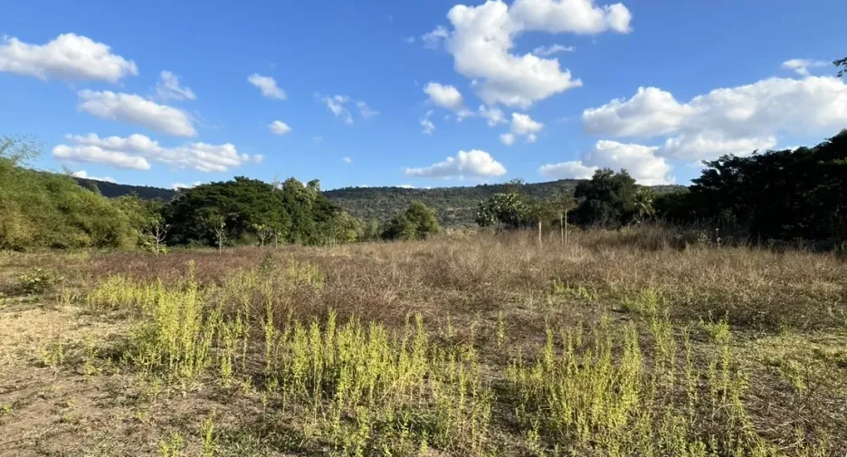 For sale land in Mueang Nongbua Lamphu, Nong Bua Lamphu