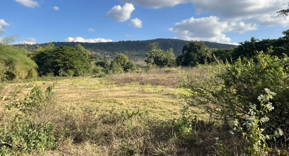 For sale land in Mueang Nongbua Lamphu, Nong Bua Lamphu