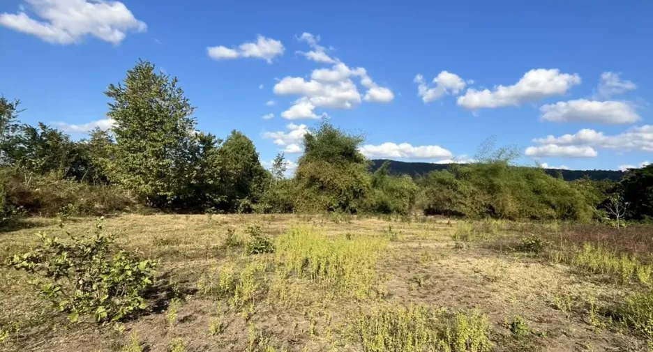 For sale land in Mueang Nongbua Lamphu, Nong Bua Lamphu