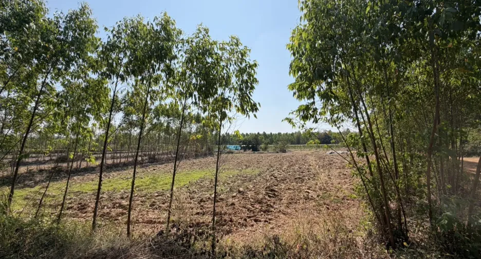 For sale land in Si Maha Phot, Prachin Buri