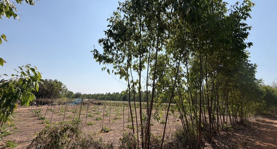 For sale land in Si Maha Phot, Prachin Buri