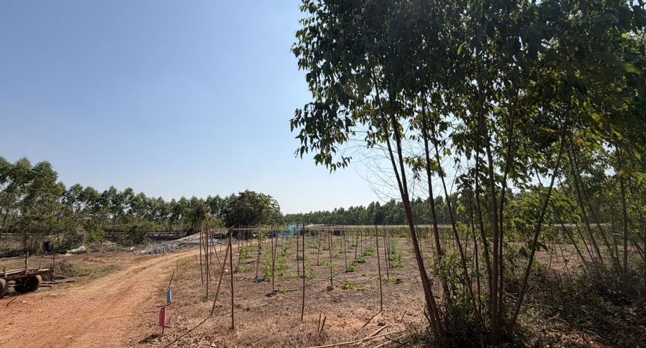 For sale land in Si Maha Phot, Prachin Buri