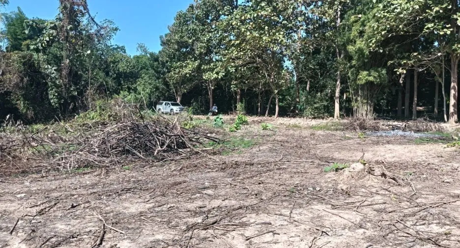 For sale land in Mueang Phitsanulok, Phitsanulok