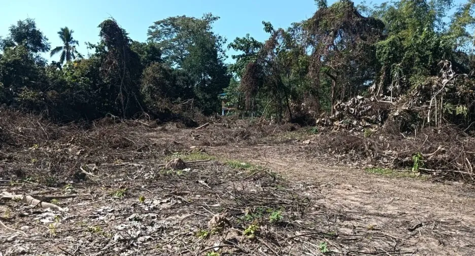 For sale land in Mueang Phitsanulok, Phitsanulok