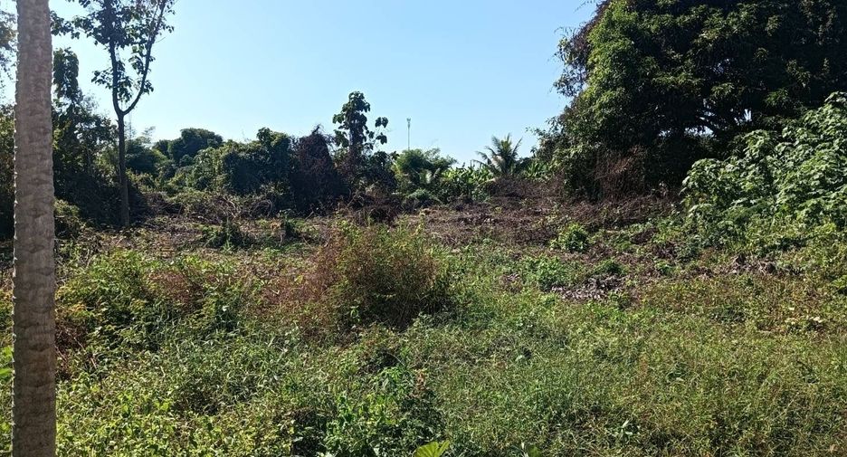 For sale land in Mueang Phitsanulok, Phitsanulok