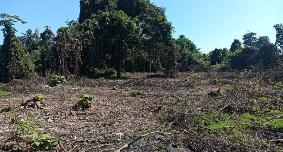 For sale land in Mueang Phitsanulok, Phitsanulok