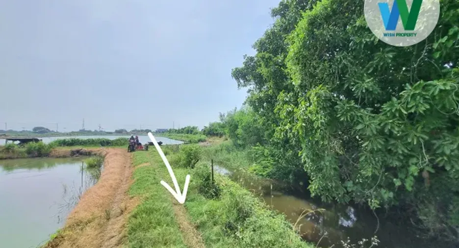 Продажа Участок в Bang Pakong, Чаченгсау