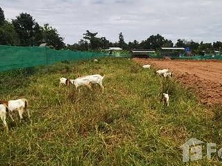 For sale land in Nong Han, Udon Thani