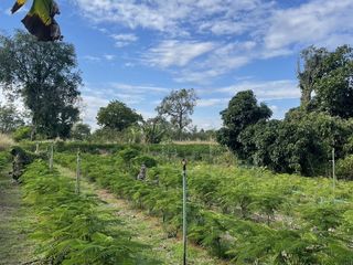 Продажа Участок в Mueang Prachinburi, Прачинбури