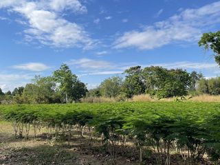 À vendre terrain à Mueang Prachinburi, Prachin Buri