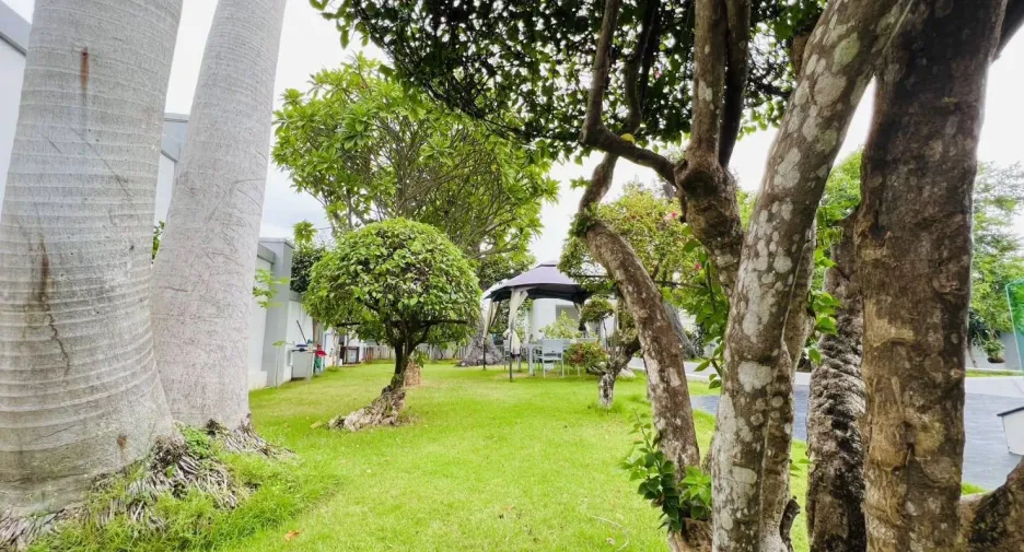 出售 和 出租 10 卧室 别墅 在 Bang Lamung, Chon Buri
