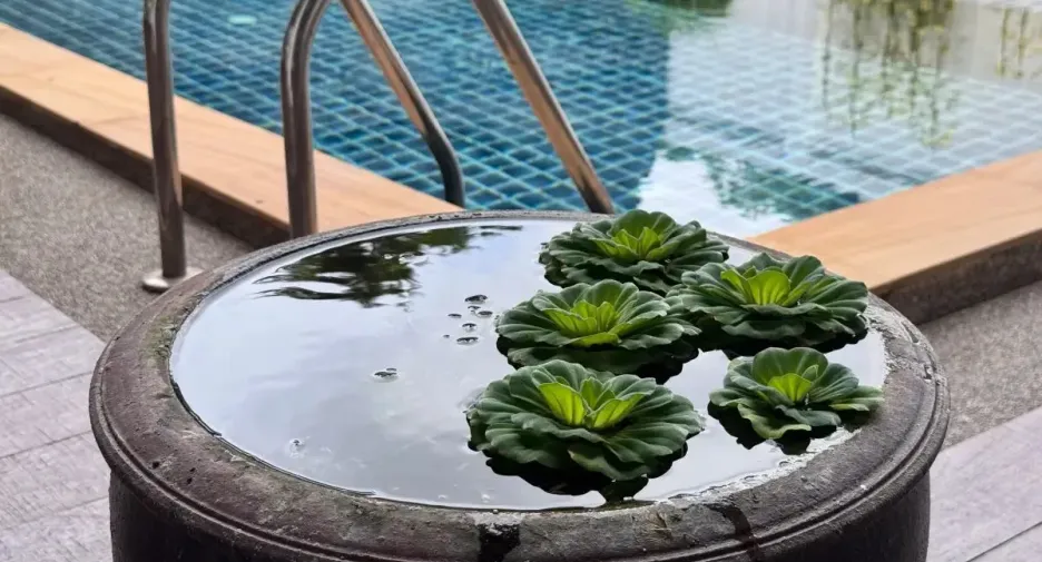 For sale 3 bedrooms villa in Thalang, Phuket