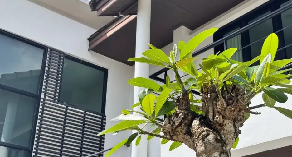 For sale 3 bedrooms villa in Thalang, Phuket