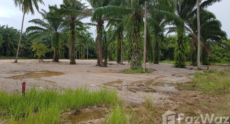 出售 土地 在 Khanom, Nakhon Si Thammarat