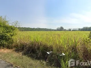 出售 土地 在 Ko Chan, Chon Buri