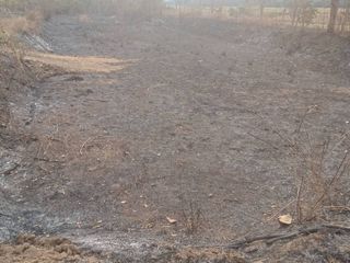 Terreno en venta en Ko Kha, Lampang