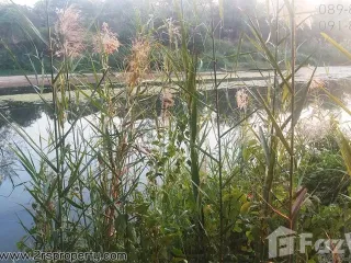 Terreno en venta en Ko Kha, Lampang