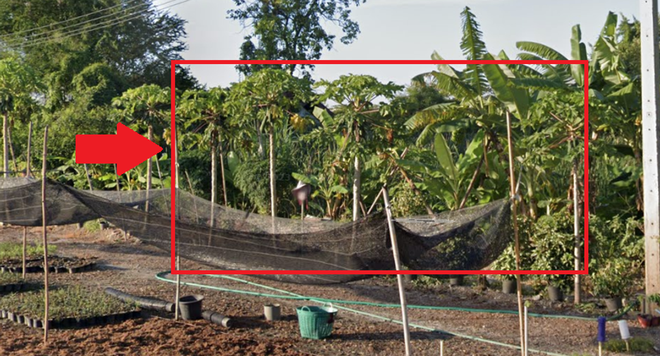For sale land in Thawi Watthana, Bangkok