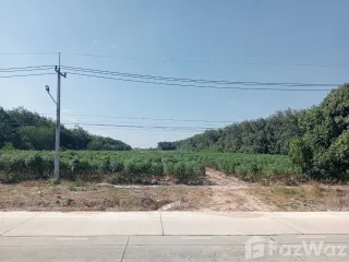 出售 土地 在 Pluak Daeng, Rayong