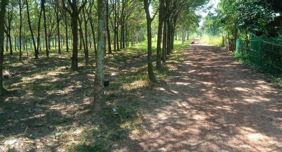 Продажа Участок в Ban Dung, Удонтани