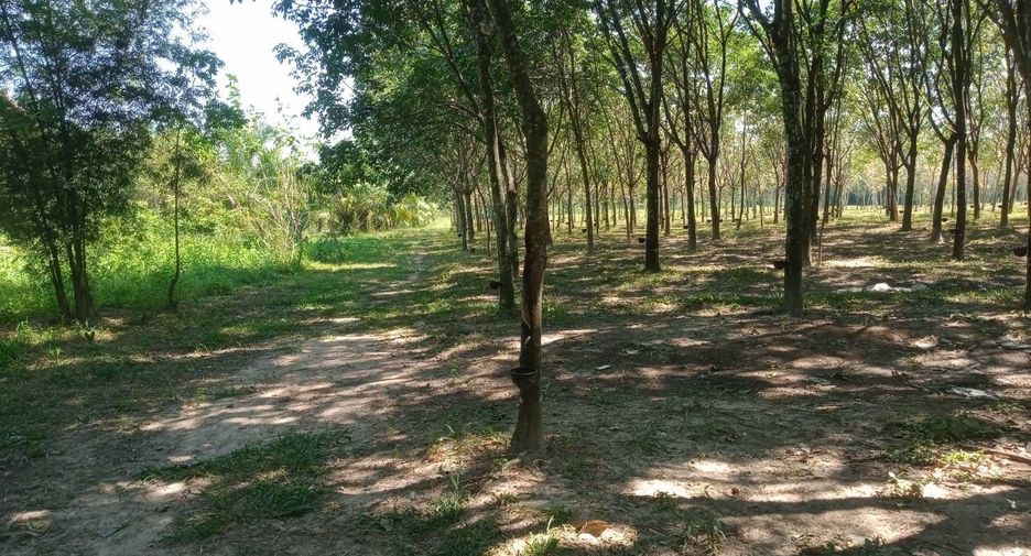 ขาย ที่ดิน ใน บ้านดุง, อุดรธานี