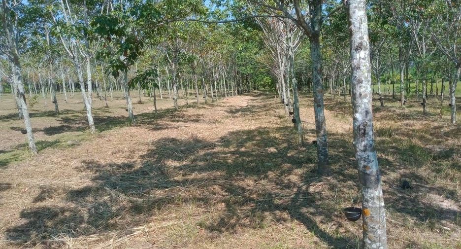 For sale land in Ban Dung, Udon Thani