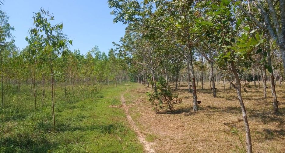 ขาย ที่ดิน ใน บ้านดุง, อุดรธานี