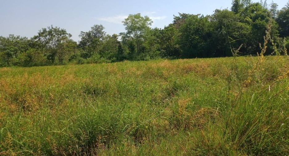 ขาย ที่ดิน ใน บ้านดุง, อุดรธานี