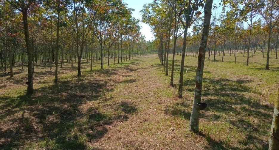 ขาย ที่ดิน ใน บ้านดุง, อุดรธานี