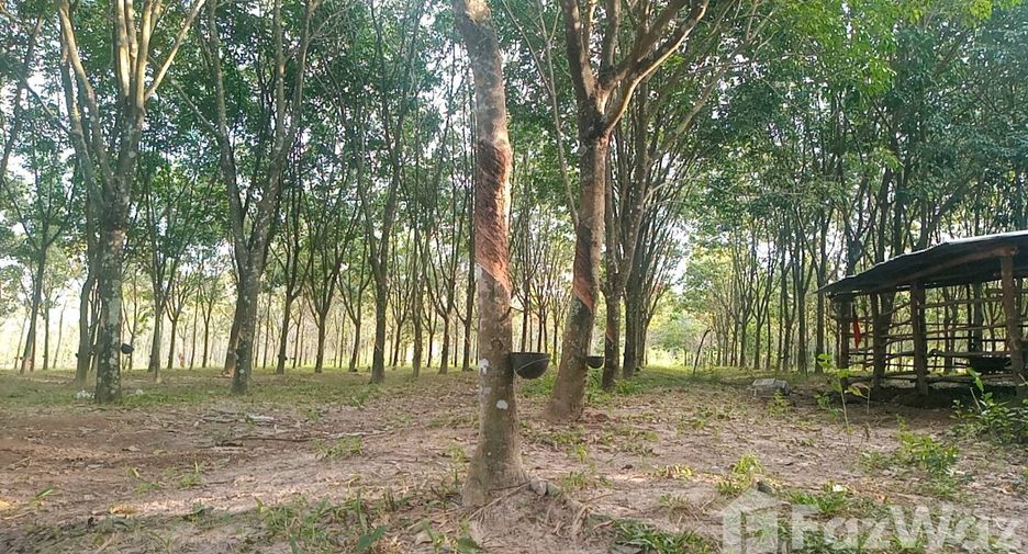 ขาย ที่ดิน ใน บ้านดุง, อุดรธานี