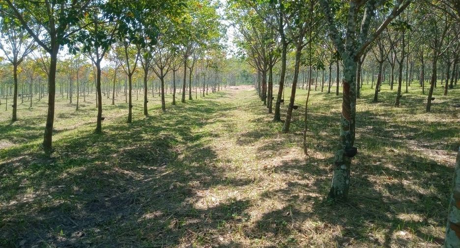 Продажа Участок в Ban Dung, Удонтани