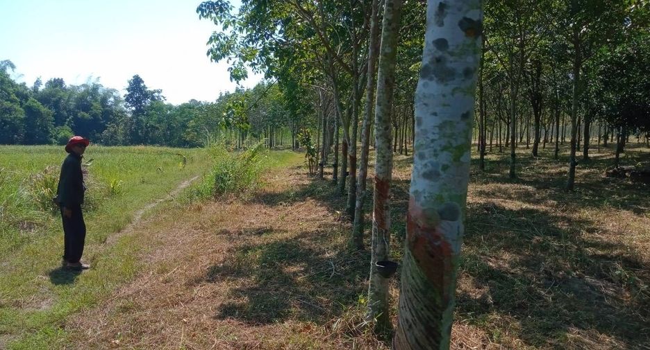 ขาย ที่ดิน ใน บ้านดุง, อุดรธานี