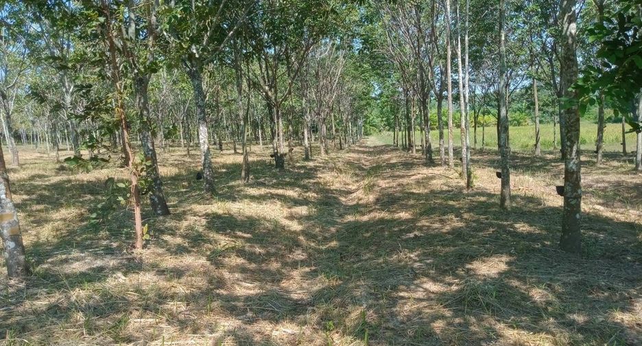 ขาย ที่ดิน ใน บ้านดุง, อุดรธานี