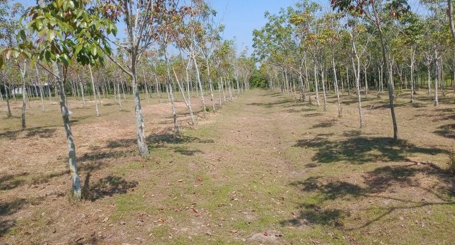 For sale land in Ban Dung, Udon Thani