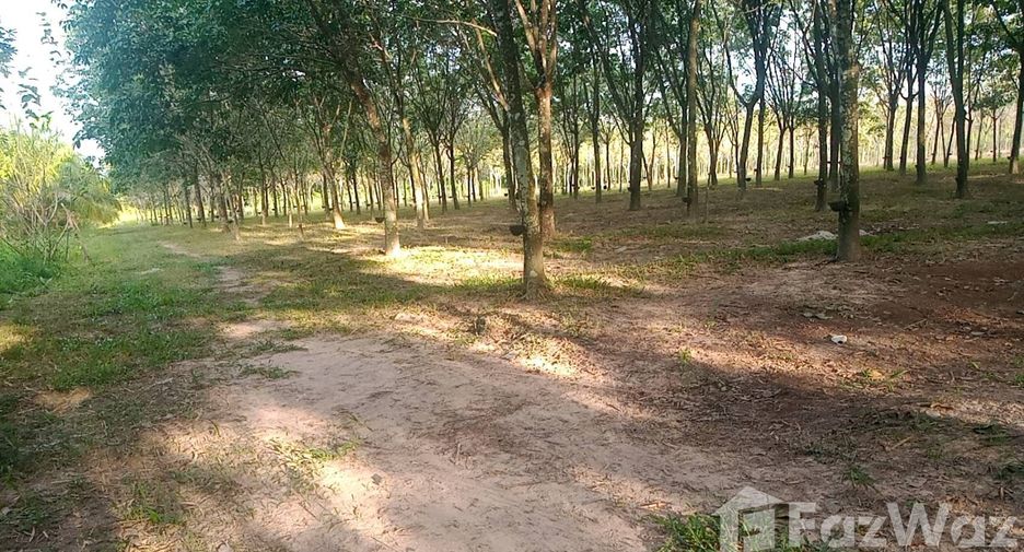 ขาย ที่ดิน ใน บ้านดุง, อุดรธานี
