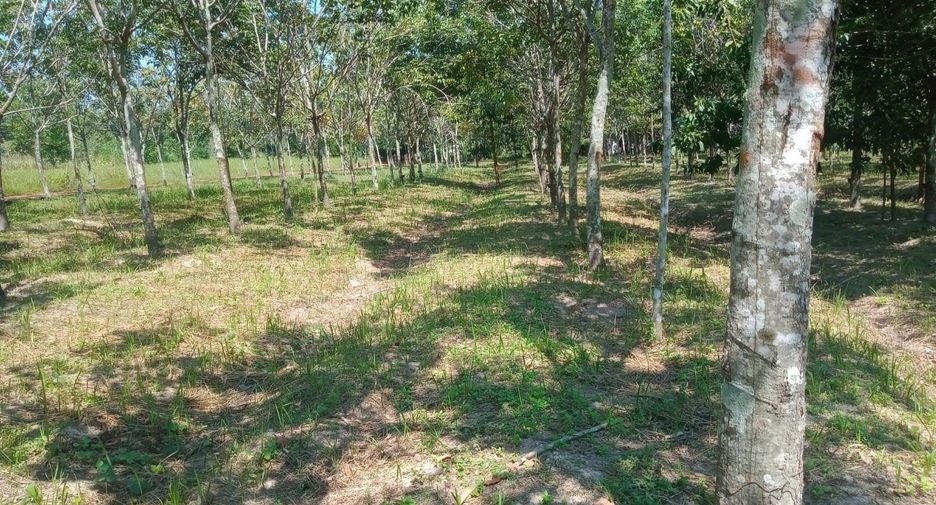 For sale land in Ban Dung, Udon Thani