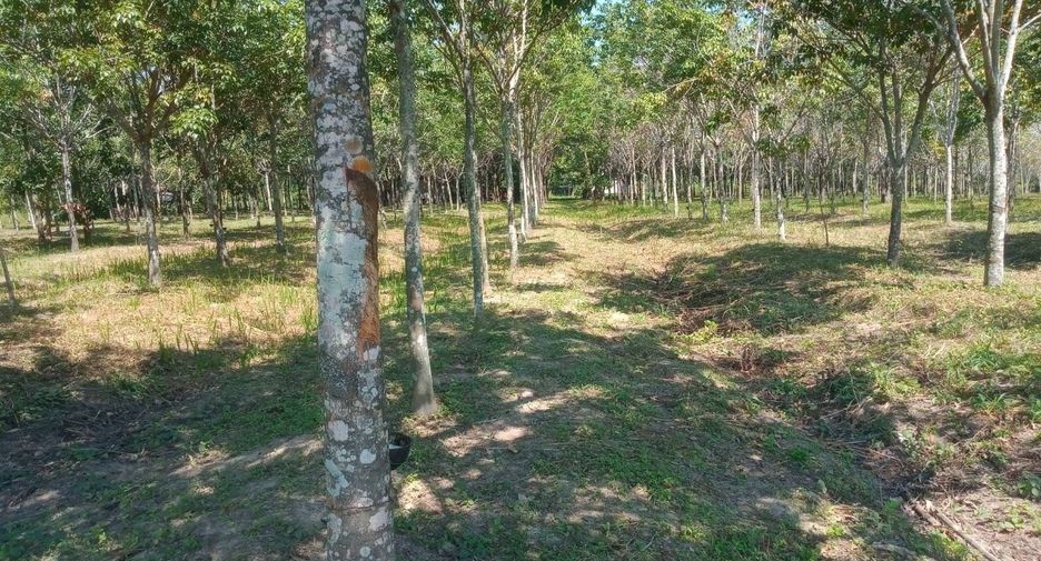 For sale land in Ban Dung, Udon Thani