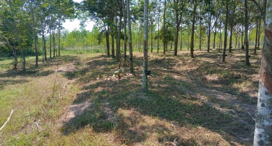 Продажа Участок в Ban Dung, Удонтани