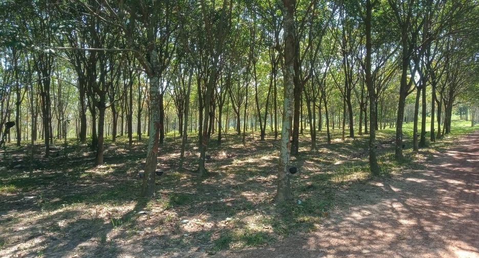 Продажа Участок в Ban Dung, Удонтани
