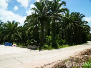 Grundstück zum Kauf in Mueang Krabi, Krabi