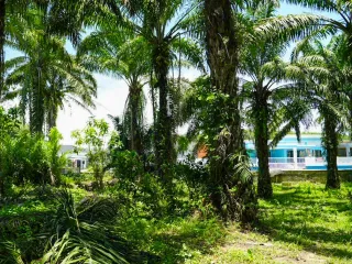 Grundstück zum Kauf in Mueang Krabi, Krabi