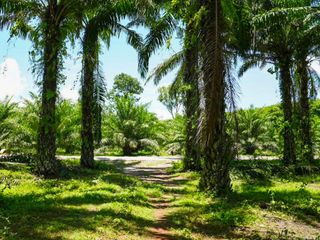 For sale land in Mueang Krabi, Krabi
