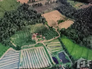 ขาย ที่ดิน ใน สีคิ้ว, นครราชสีมา