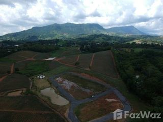 出售 土地 在 Khao Kho, Phetchabun