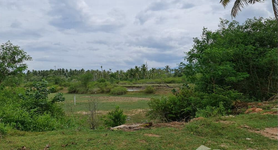 Grundstück zum Kauf in Sichon, Nakhon Si Thammarat