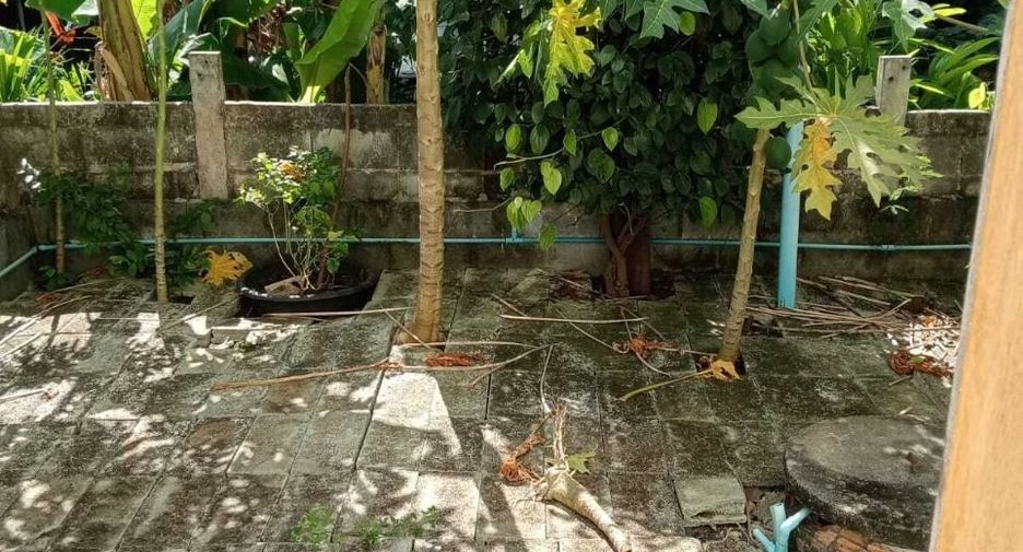 For rent 2 bedrooms house in Mueang Phuket, Phuket
