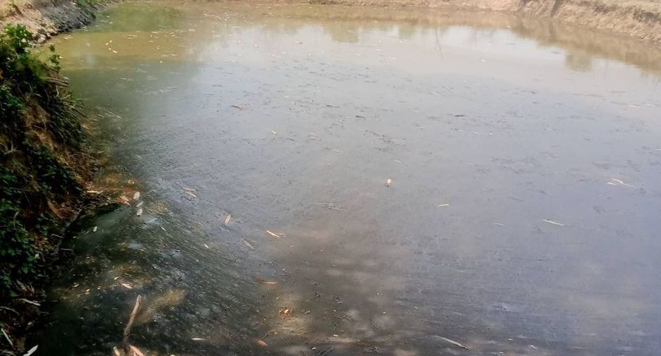 Продажа Участок в Mueang Lampang, Lampang